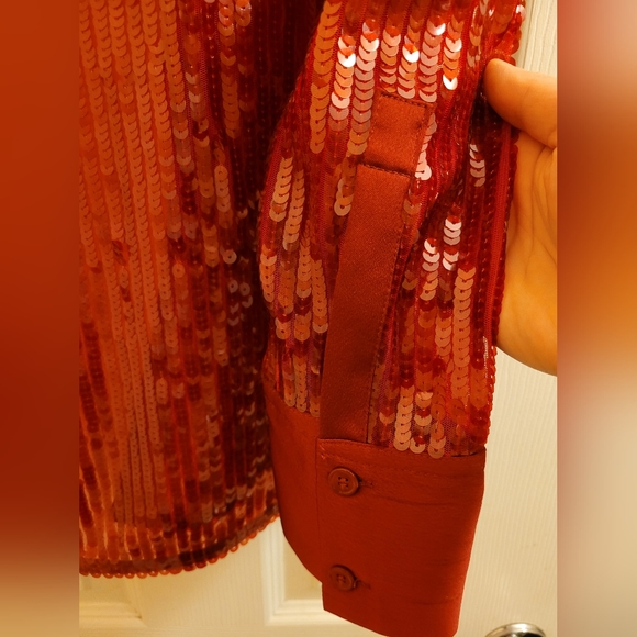 Zara Sequined Button Down Blouse - Picture 6 of 6